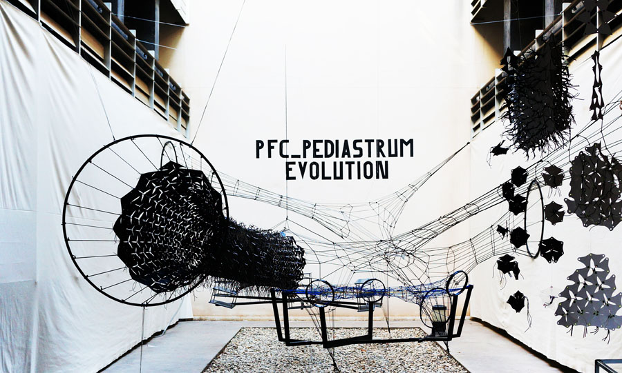 Pediastrum Evolution - Fab Lab Alicante